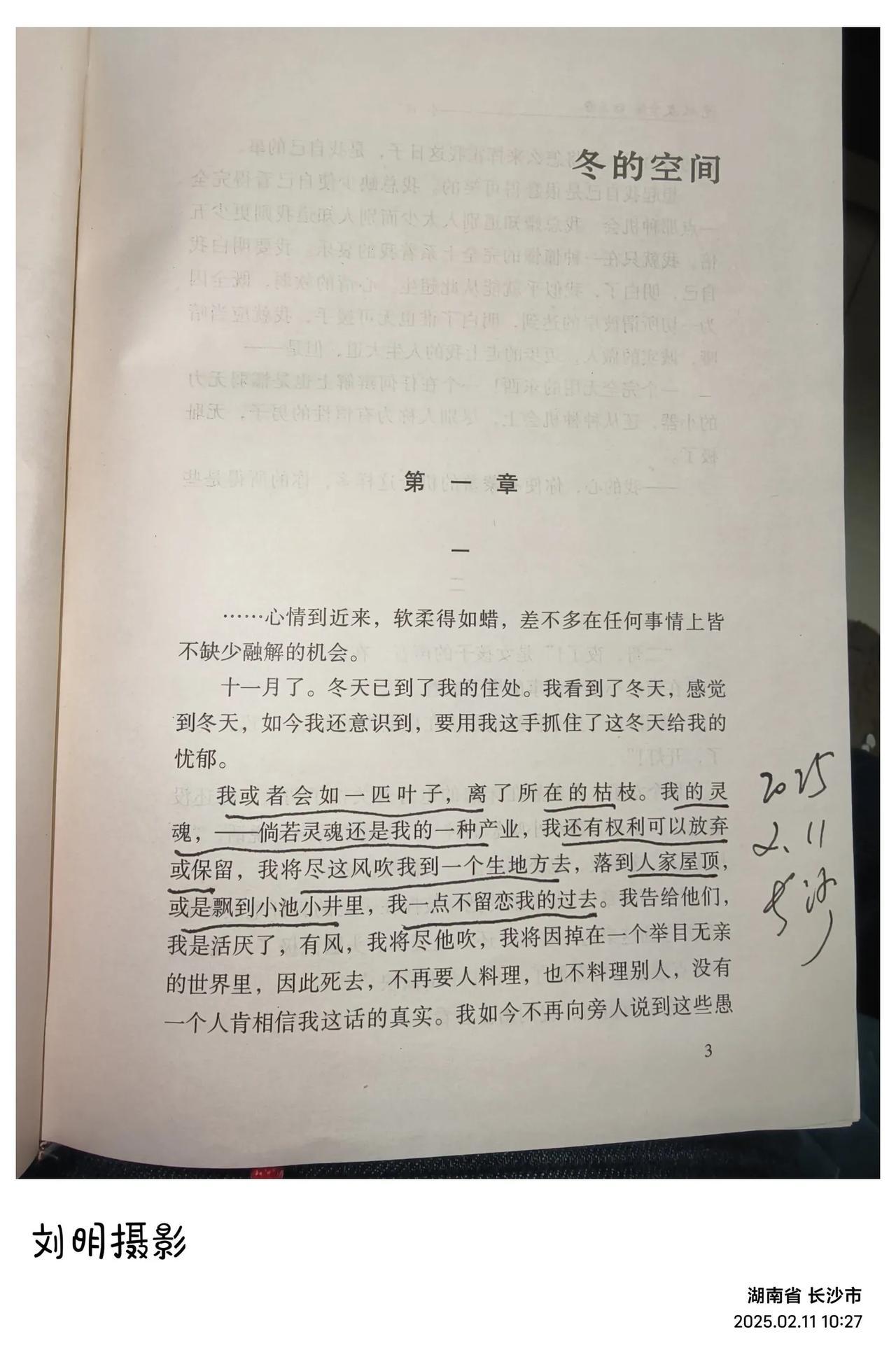 我或者会如一匹叶子，离了所在的枯枝。我的灵魂，——倘若灵魂还是我的一种产业，我还