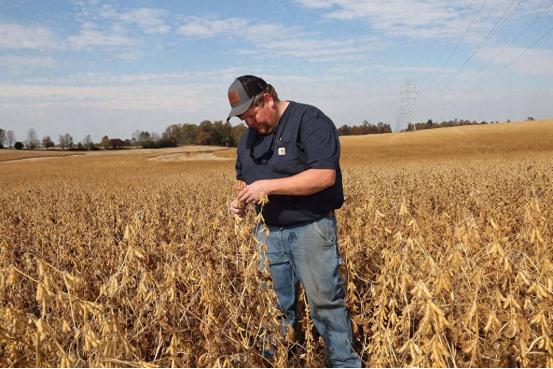 种地的朋友都知道，开春播种那阵子，啥都没有化肥要紧，缺了这东西再好的种子也长不出