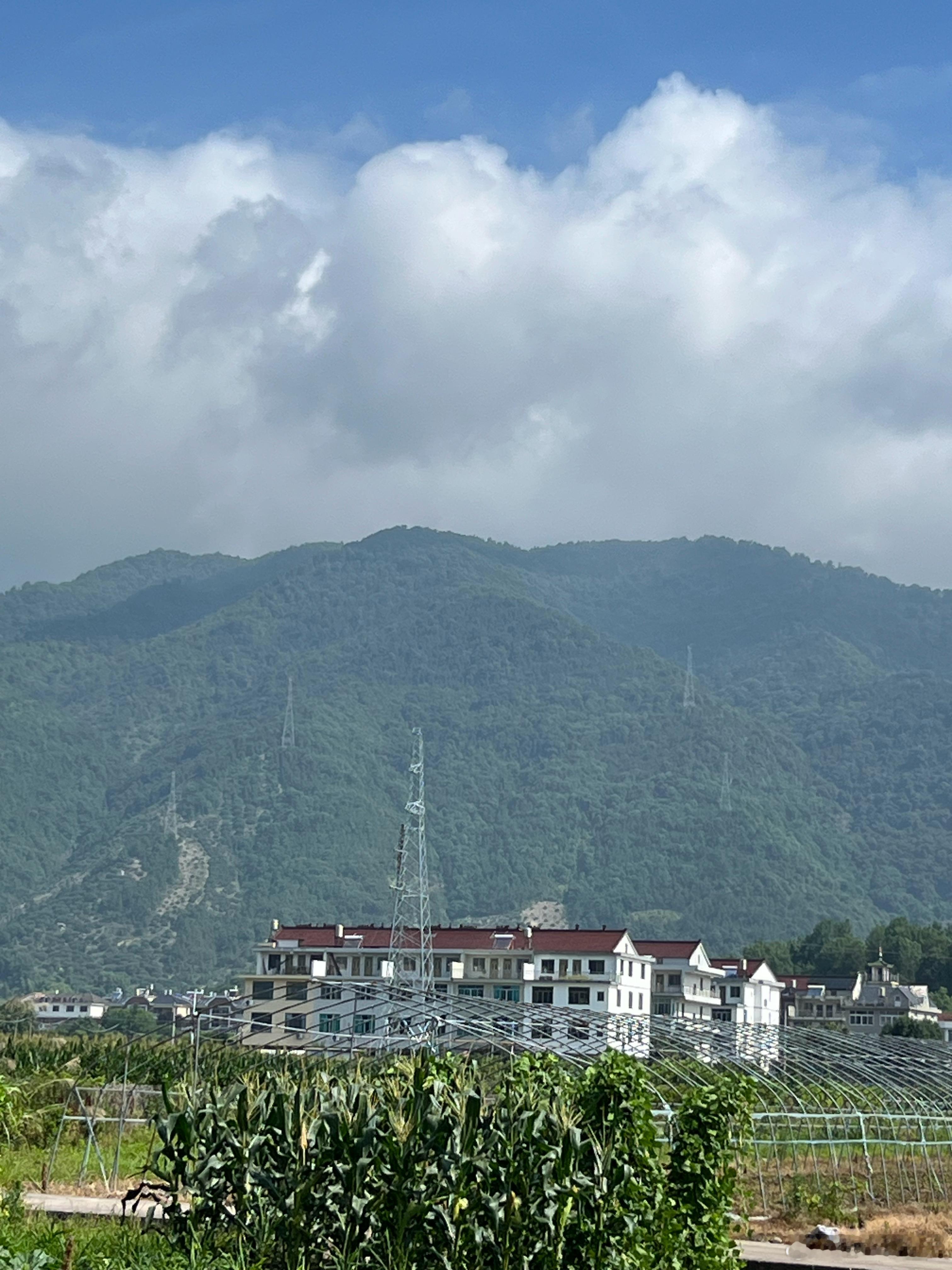 空山新雨落盛夏，风携草木一身凉。前三图:清晨。后三图:上午。 