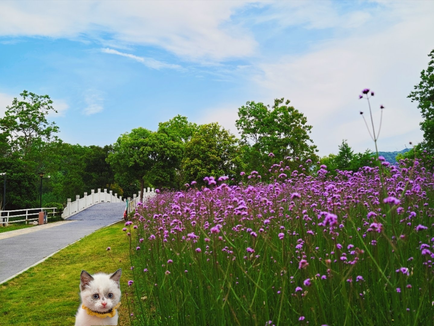 软软糯糯 