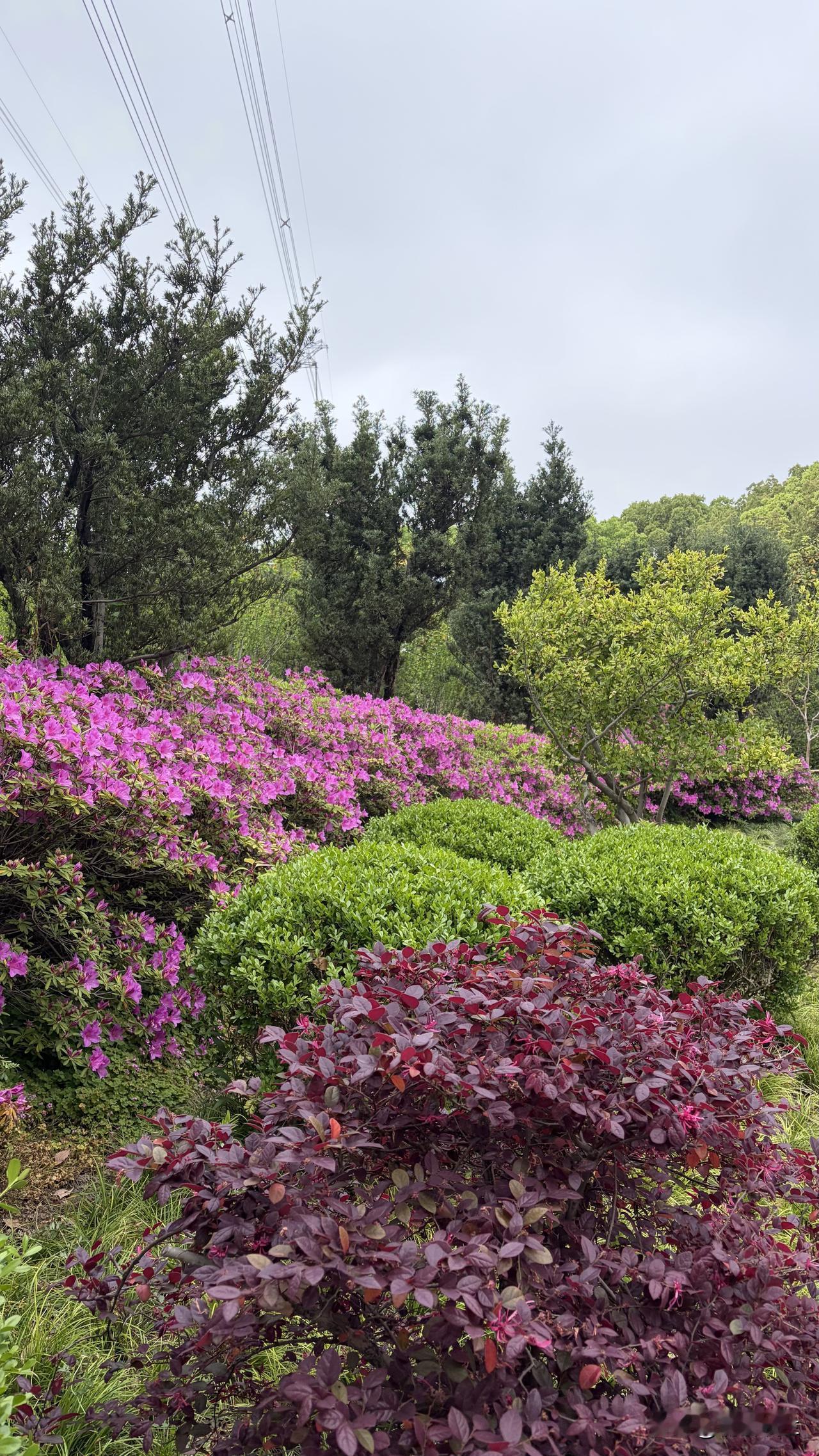 最近几年，才越来越明白，能睡个好觉是一件多么幸福的事。


我三十多岁的时候，睡