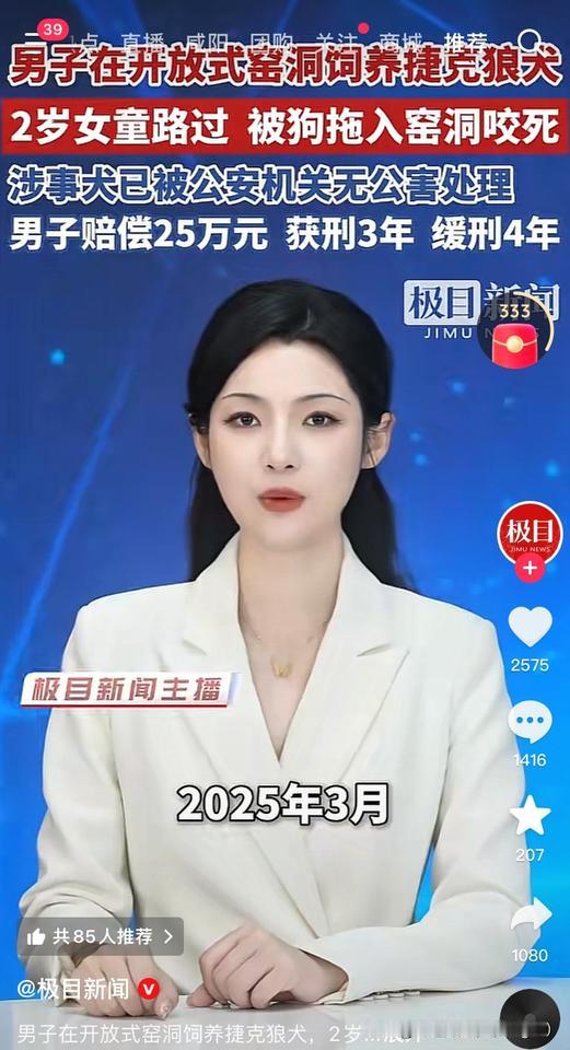 这个女孩被狗咬死了，太痛心了！
2025年3月，河南汝州一男子违规养了捷克狼犬。