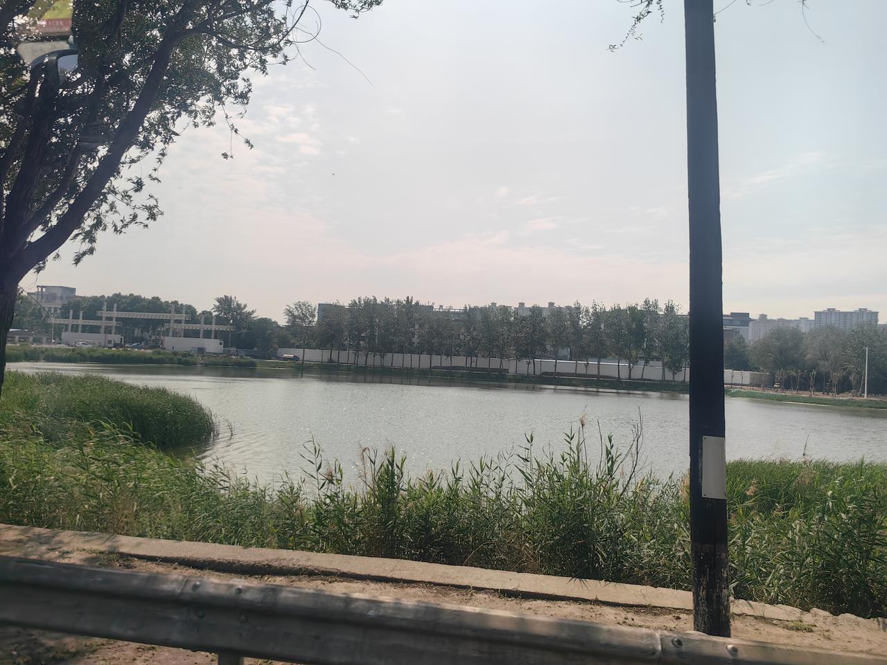 分享一张你最近随拍的照片