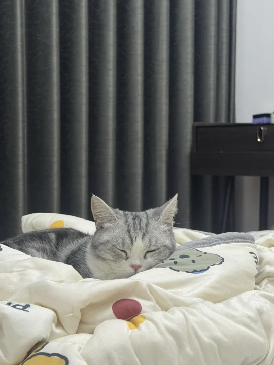 我真的撑不住了