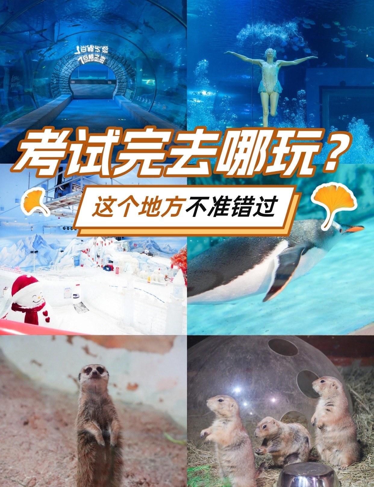 考完试去哪？这个地方不准错过‼️
📍广州 正佳极地海洋世界
放寒假了！孩子天天