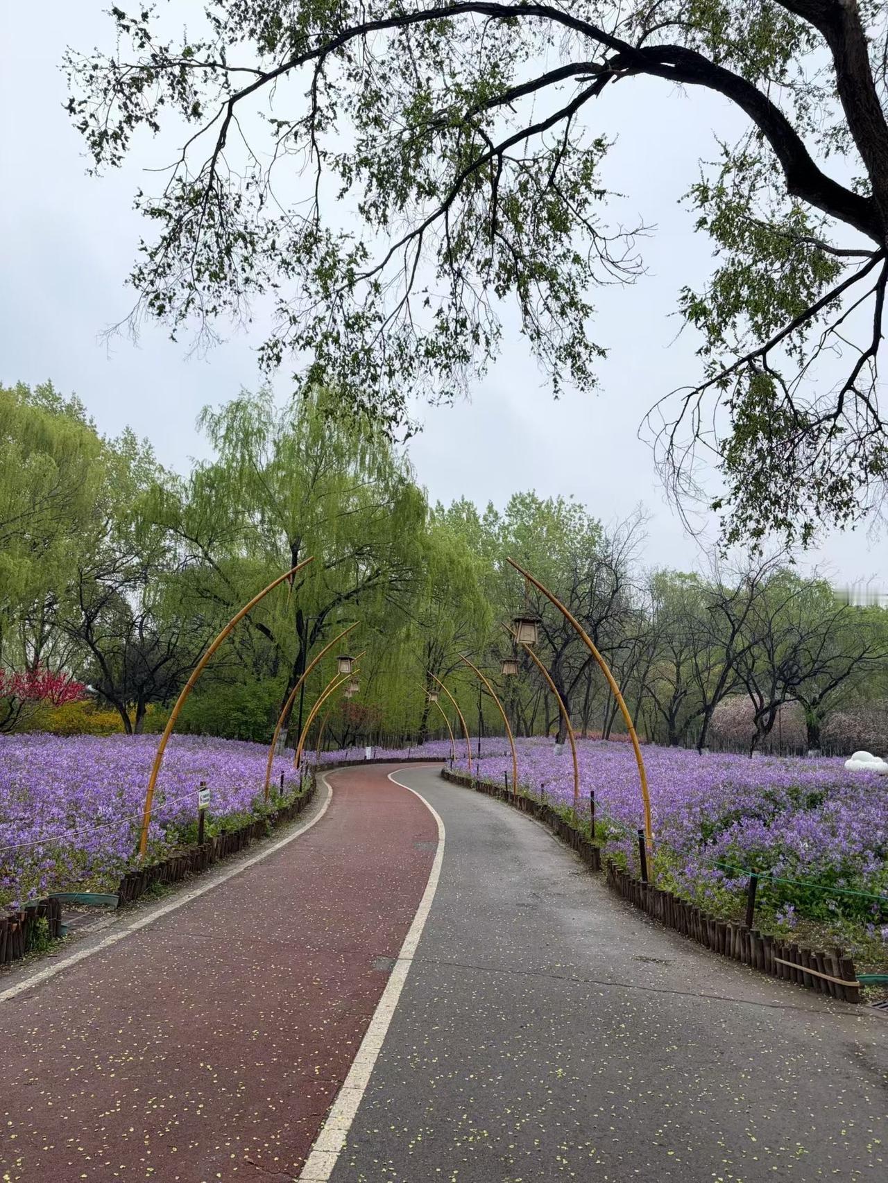 春天的风吹在脸上，不冷了，软软的，还有点痒。太阳晒得人懒洋洋的，想在外面多待一会