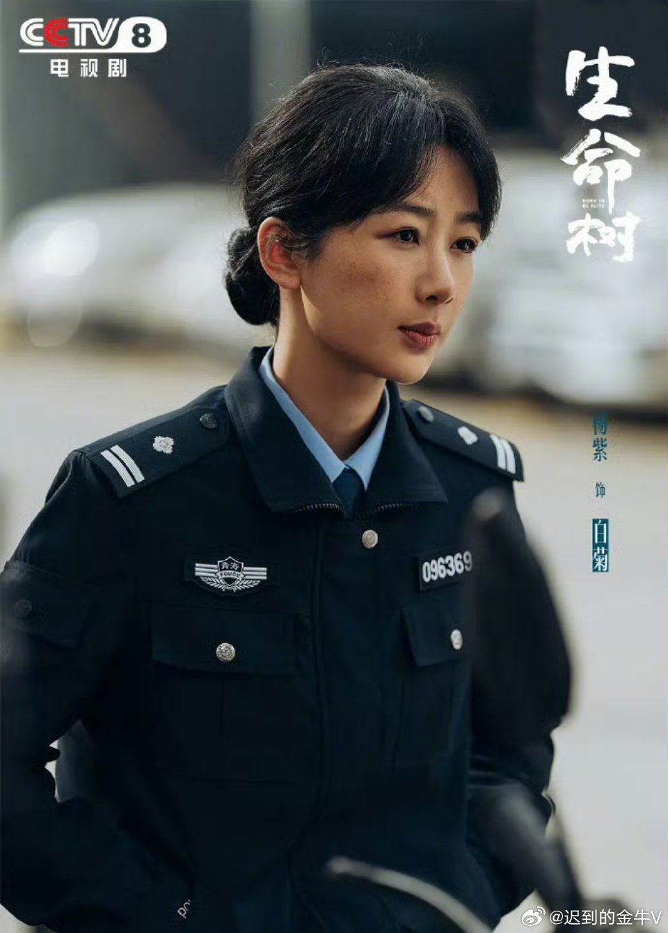 杨紫白玉兰视后首位90后白玉兰视后诞生！杨紫凭《生命树》白菊一角摘得最佳女主角?