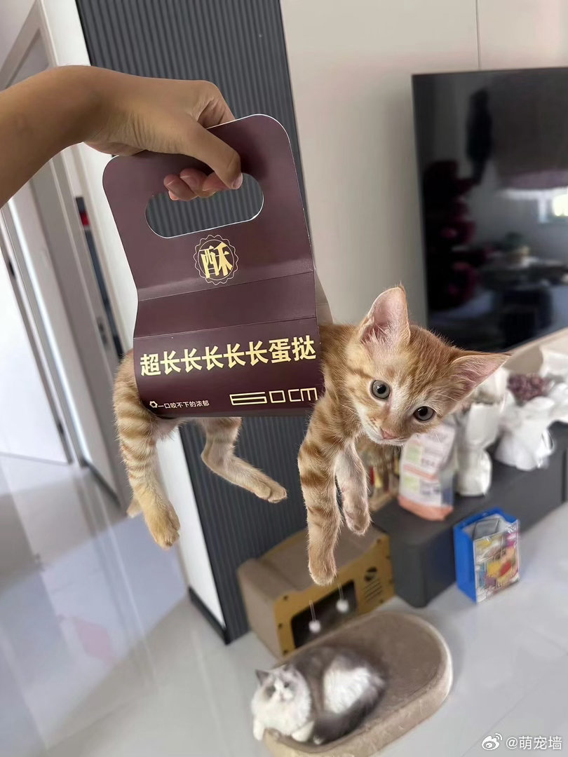 连…连我也要吃吗 ​ ​​​