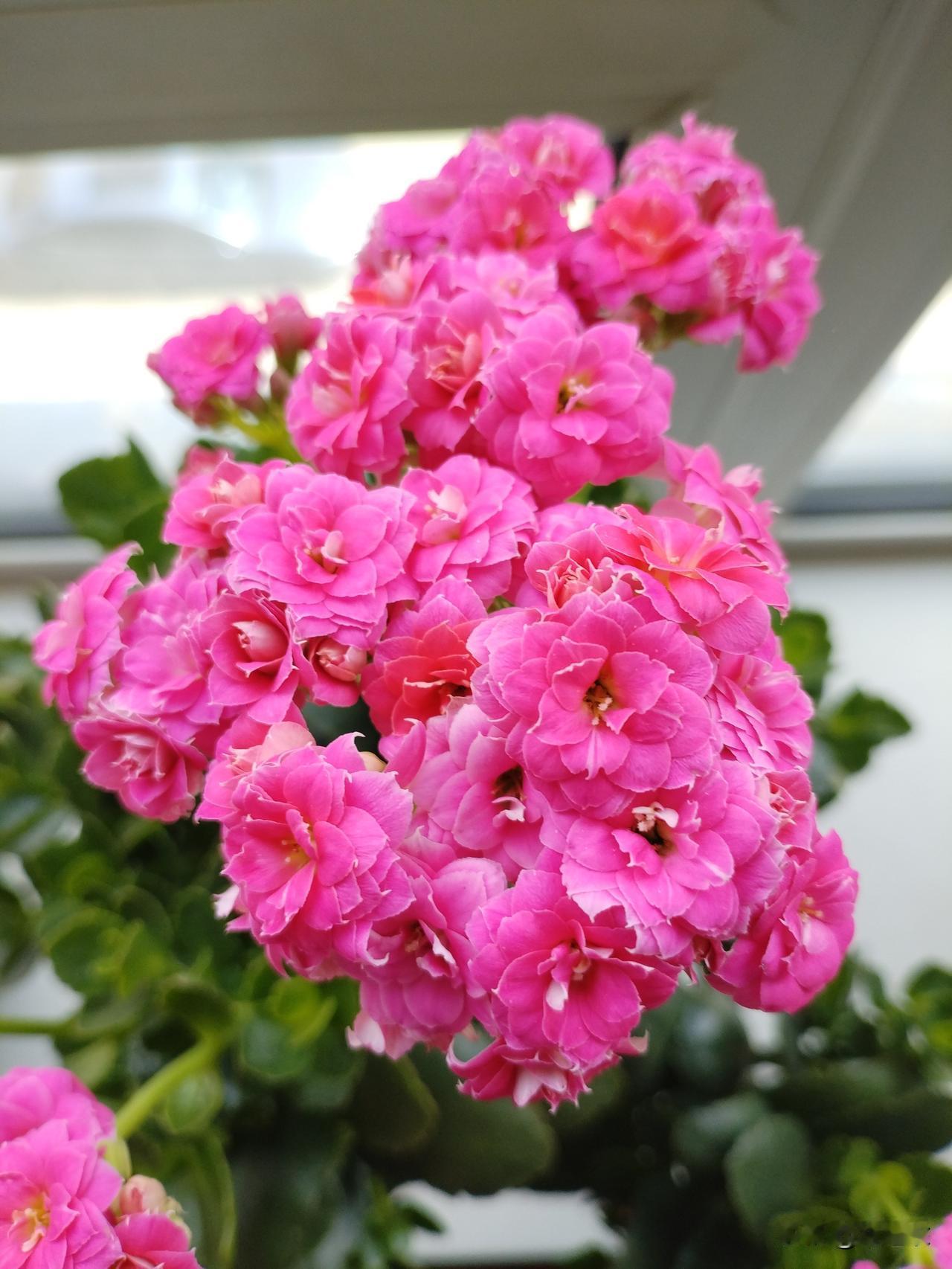 五一小长假马上来临。对于普通百姓来说，如何利用这个黄金日子，肯定都有自己的打算和