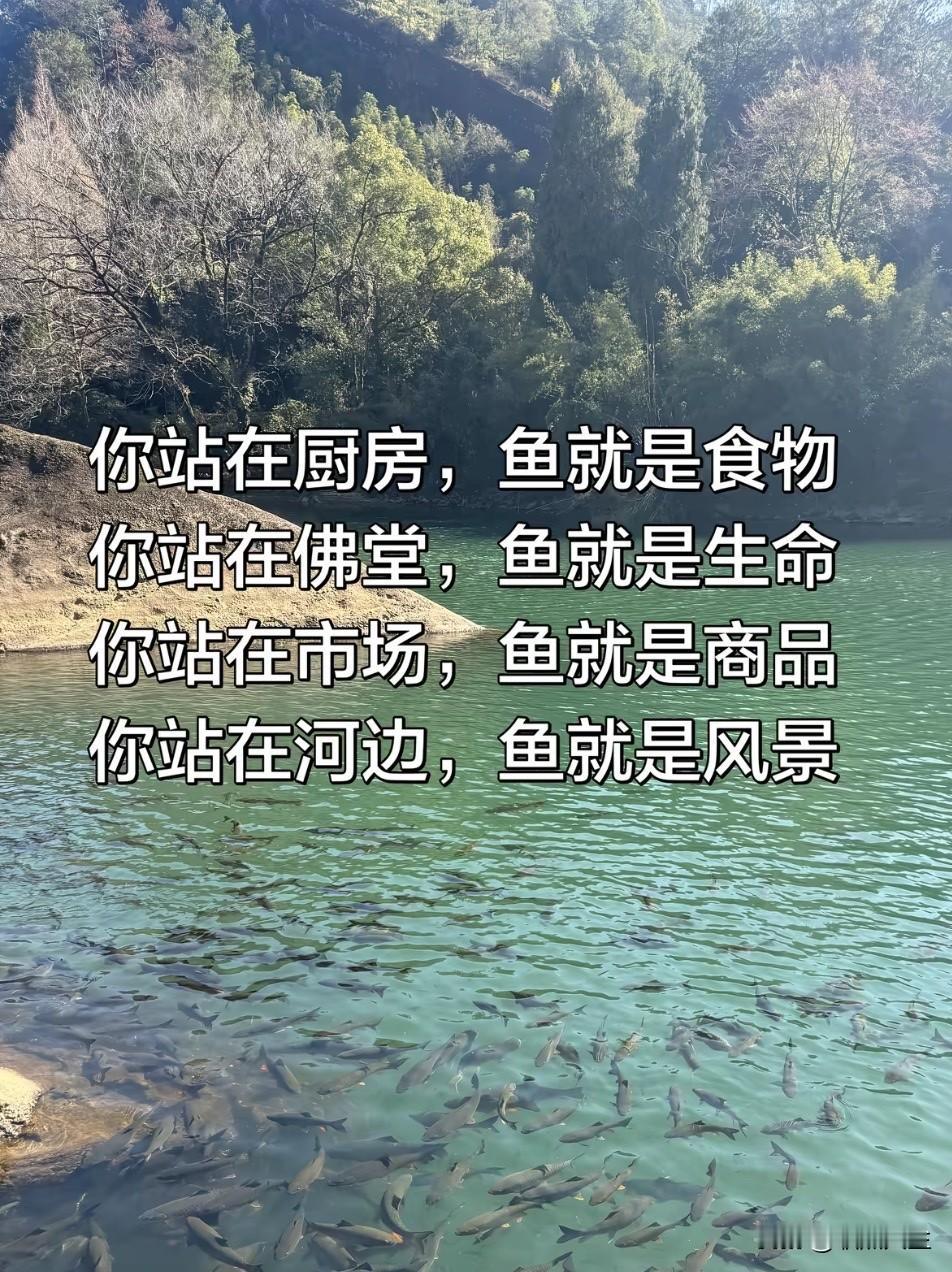 世间没有对错，只有视角！