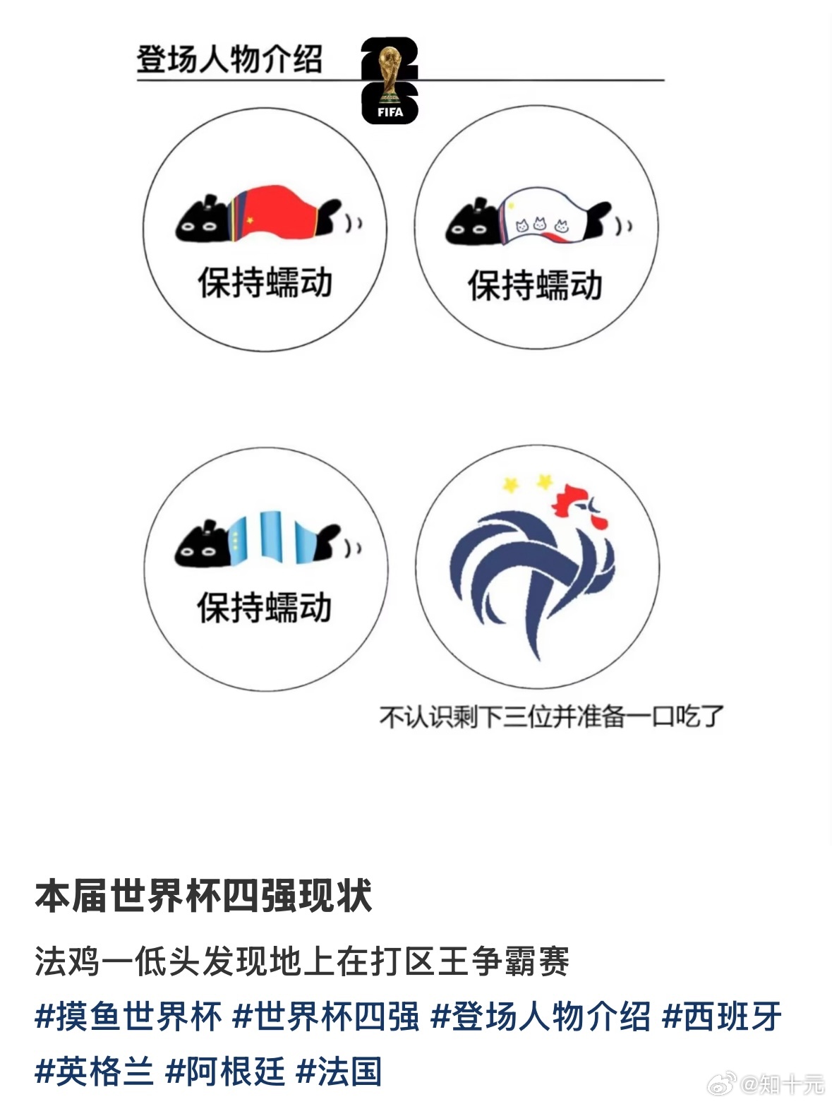 本届世界杯四强现状belike非正经观战世界杯