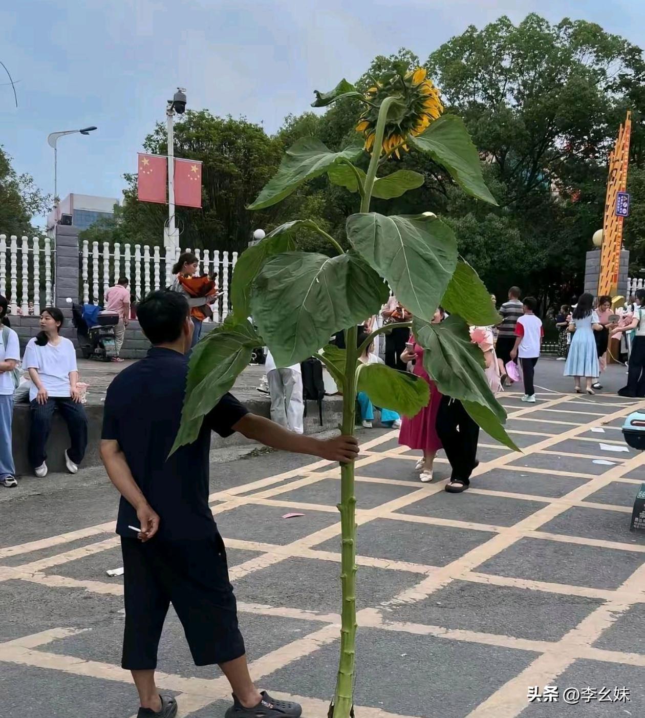 看到这一幕，今天才明白一举夺魁的意思