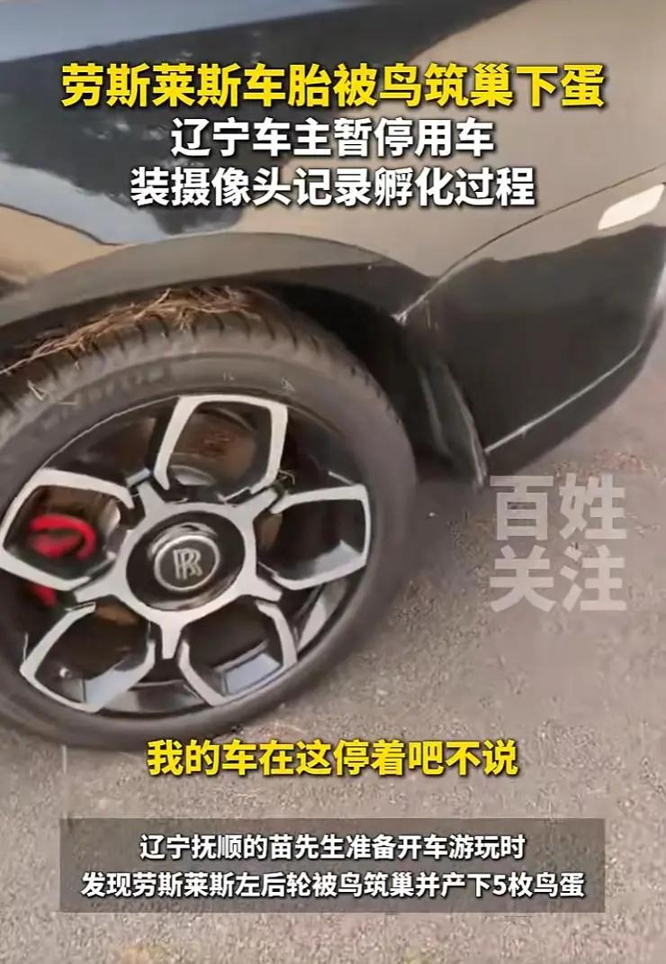 7月9日辽宁抚顺这事儿太有意思了！苗先生本打算开劳斯莱斯出门玩，却发现左后轮轮毂