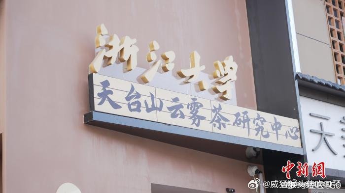 台州天台用工业思维重新定义一杯茶摒弃传统零散种植模式，以标准化、产业化思路运营茶