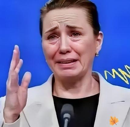 丹麦这次老实了，在对中国的问题上咋咋呼呼，现在倒好，在格陵兰岛的问题都没法解决了