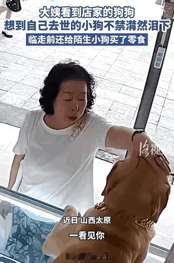 万物皆有灵性！山西太原，大姨来店里买东西，当看到店家的狗狗后直接绷不住了，不禁潸