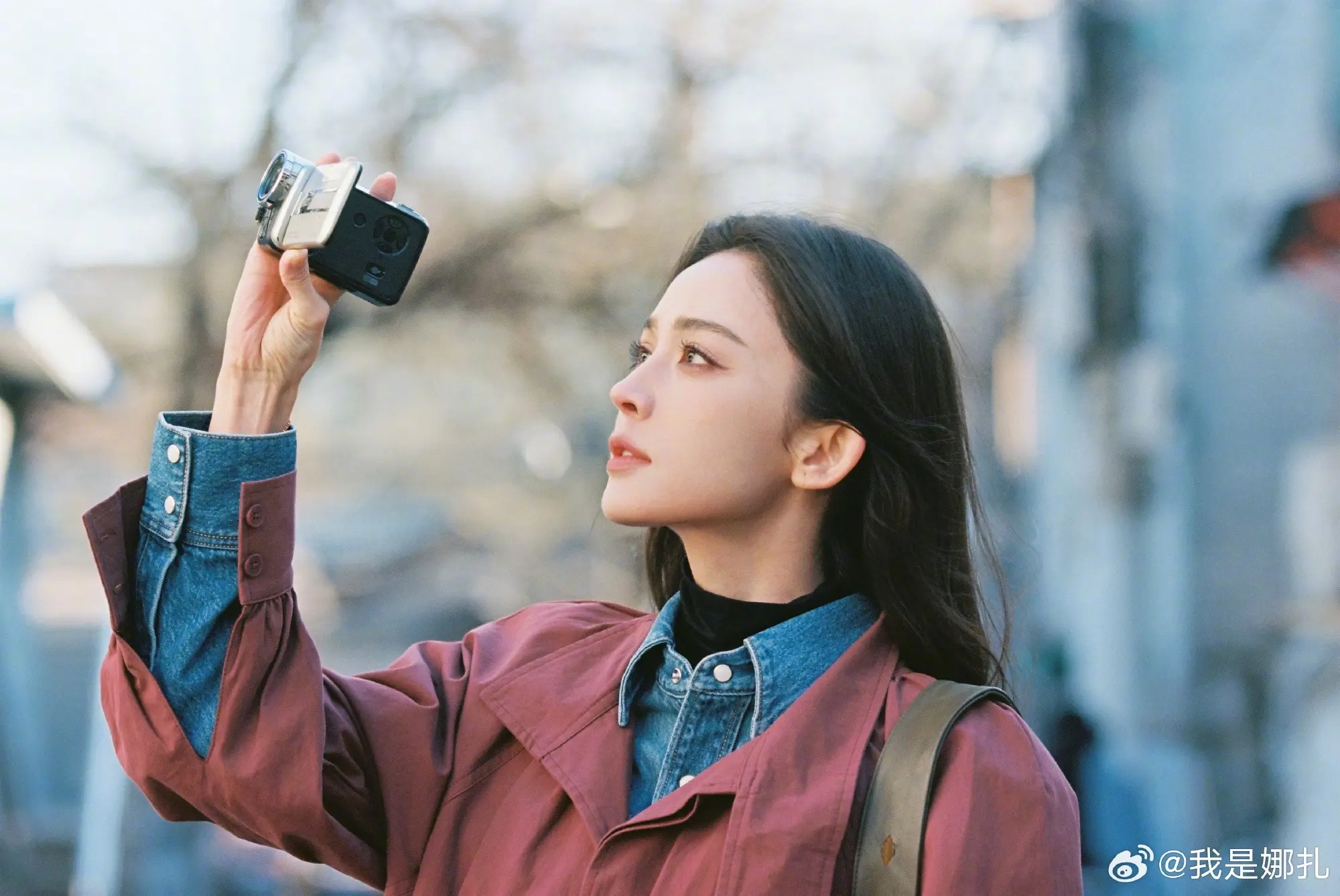 娜扎。