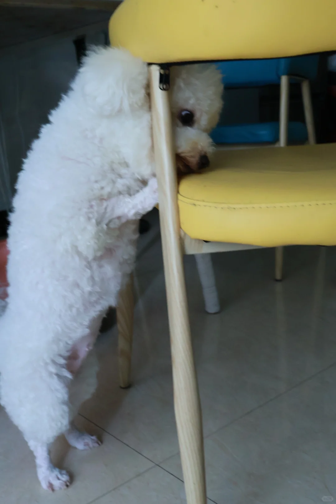 不能浪费粮食！！