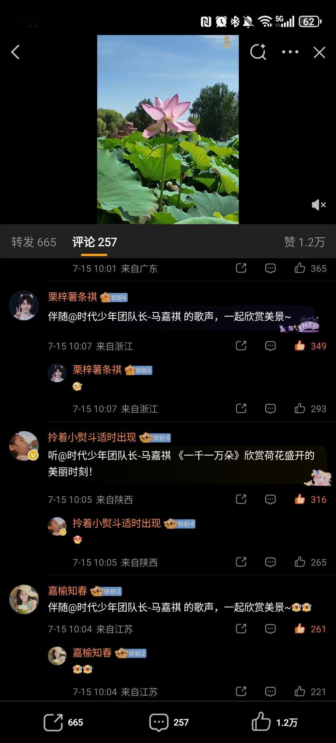 ✔️🈳网页链接  专栏 · 🈳评组