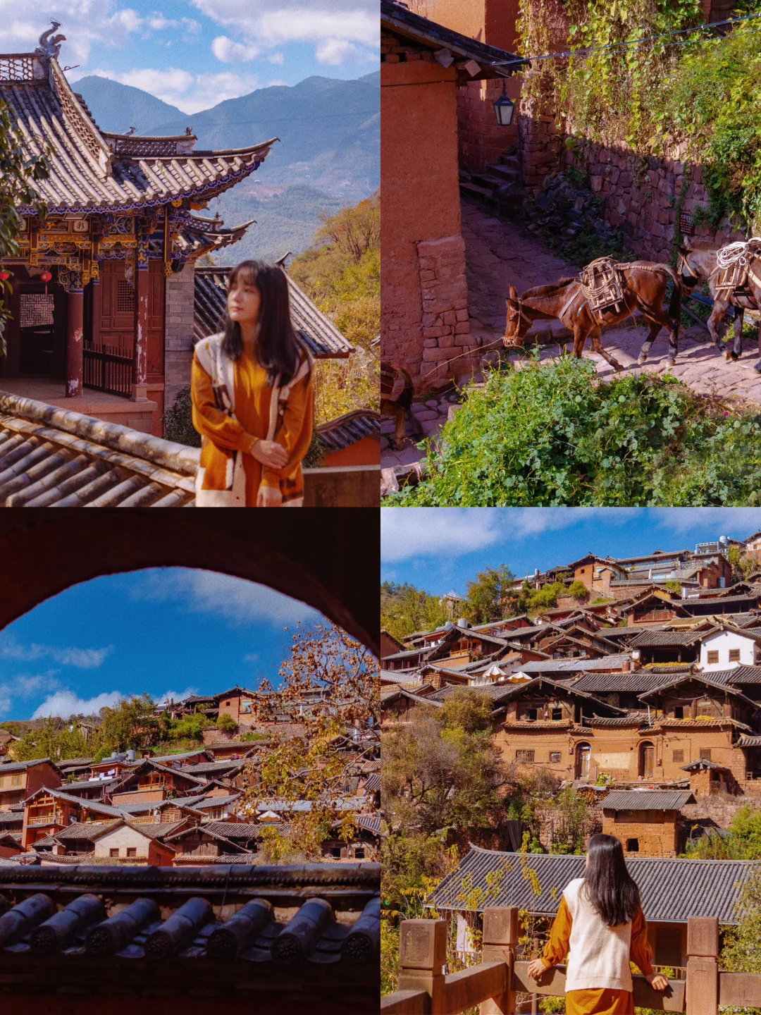云南这个原始千年古村🫏还在用骡子运货‼️