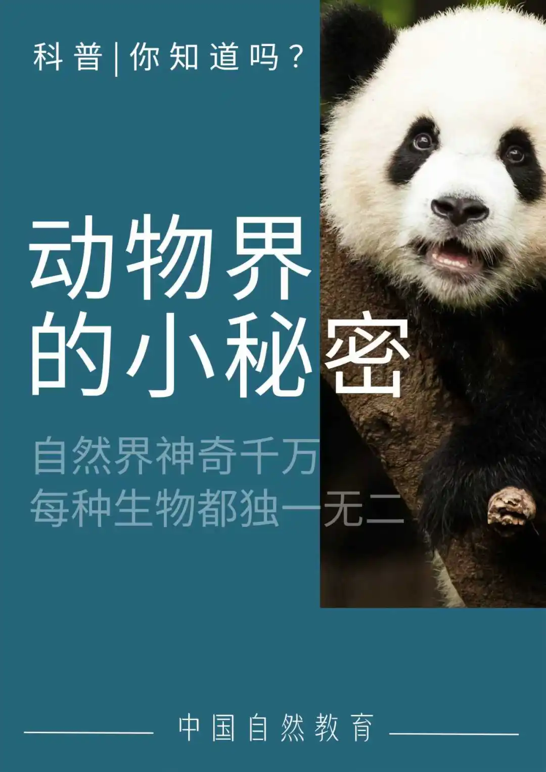 科普｜动植物界的小秘密
