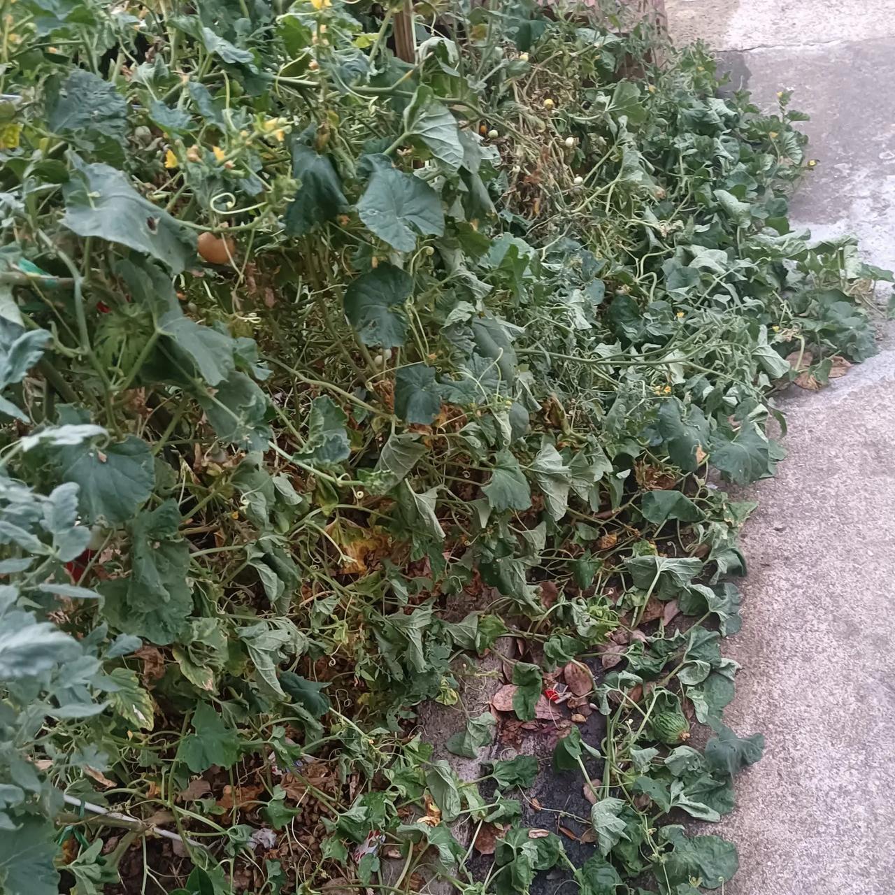 看到坏人得到报应，最大的感受是开心吗，也许真正在意的，还是坏人让自己失去了东西而