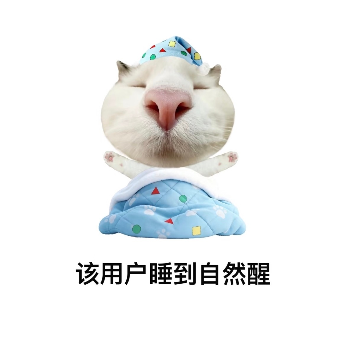我醒了 这个点起床的人 是未来之星 是国家栋梁 是都市小说里的商业大鳄 是吾日三