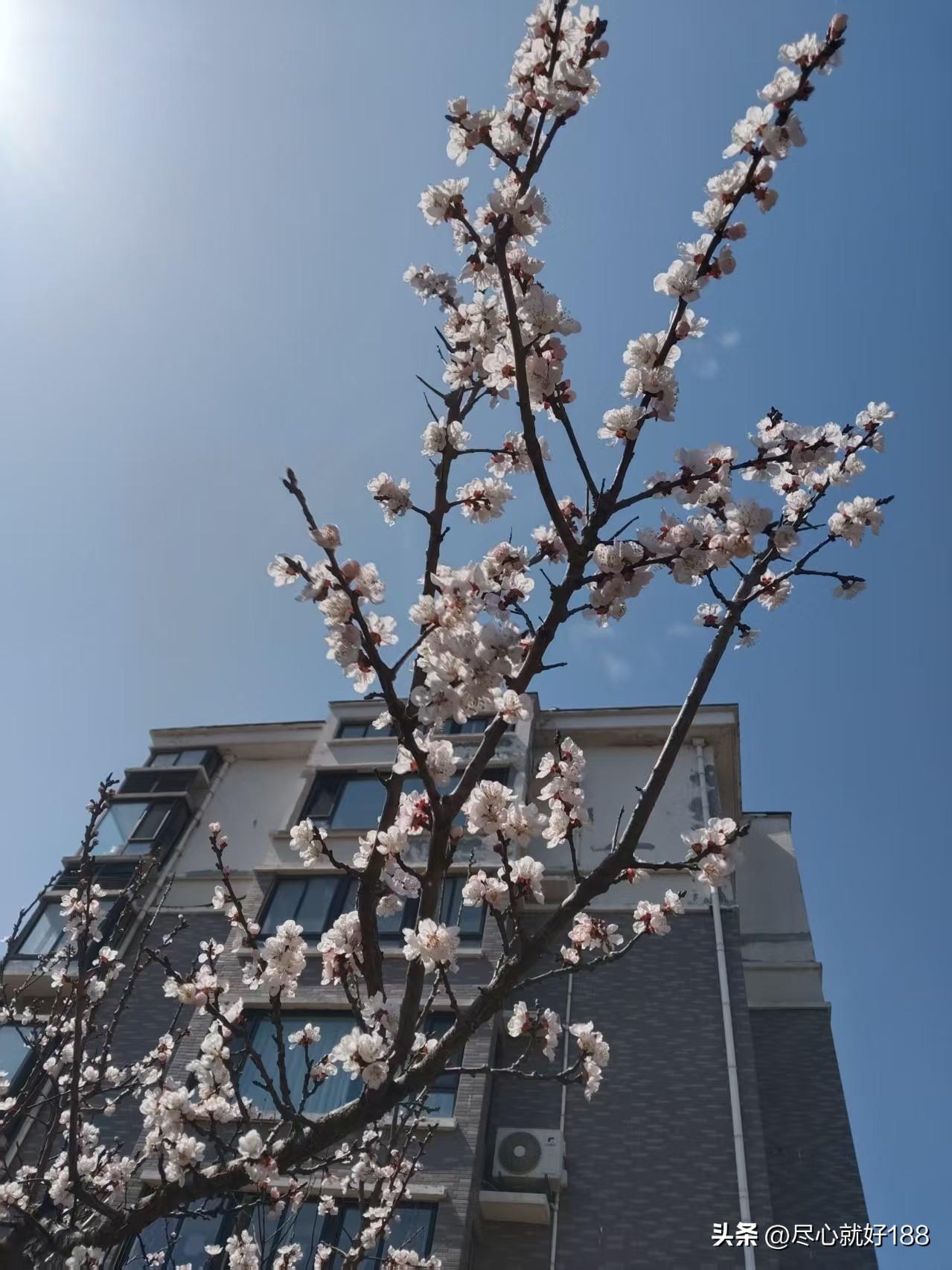 每天有空就记录一下妈妈的饮食和日常生活，看看妈妈有哪些进步的变化。

昨天妈妈吃