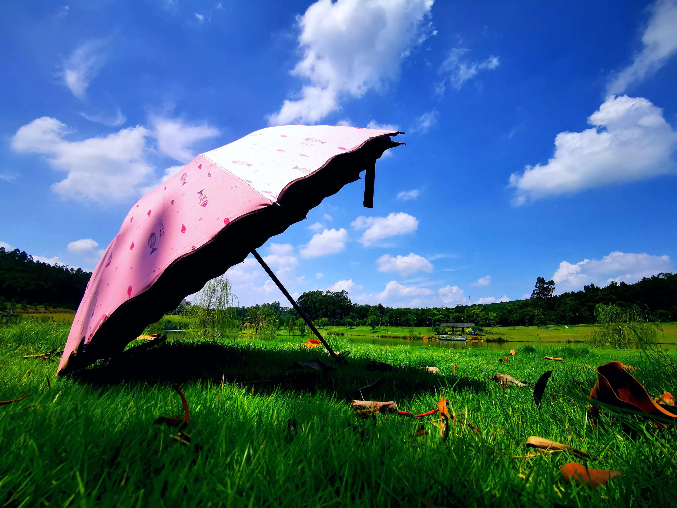 其实，最美的风景，不在远方，只在当年。 -- 白落梅 《相逢如初见回首是一生》