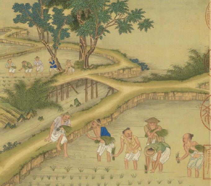 农业的底层逻辑到底是什么？其实就是一场“阳光配额”争夺战，土地只是舞台，阳光与温