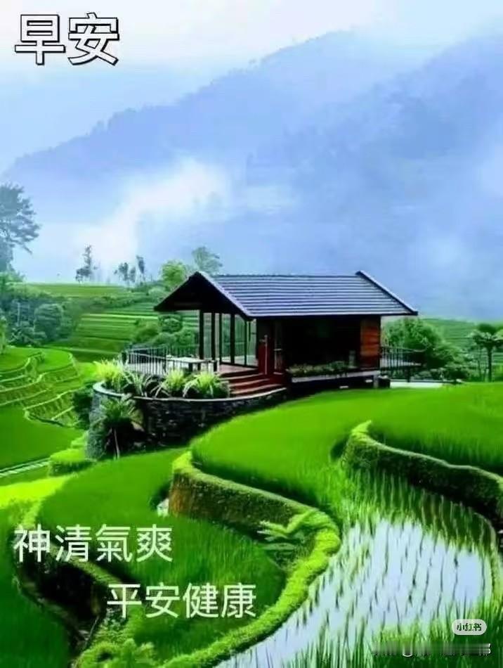 清晨的田园，好宁静啊！