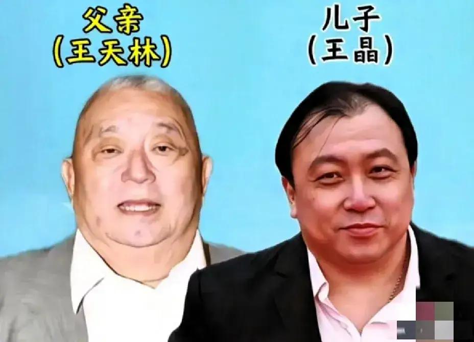 徐锦江父子俩。
张丰毅父子俩。
狄龙父子俩。
刘波父子俩。
张志宽父子俩。
巩汉