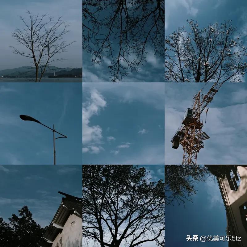 春日里，我漫步在公园的小径上，看着嫩绿的新芽从枝头探出头来，感受着微风中花朵的芬