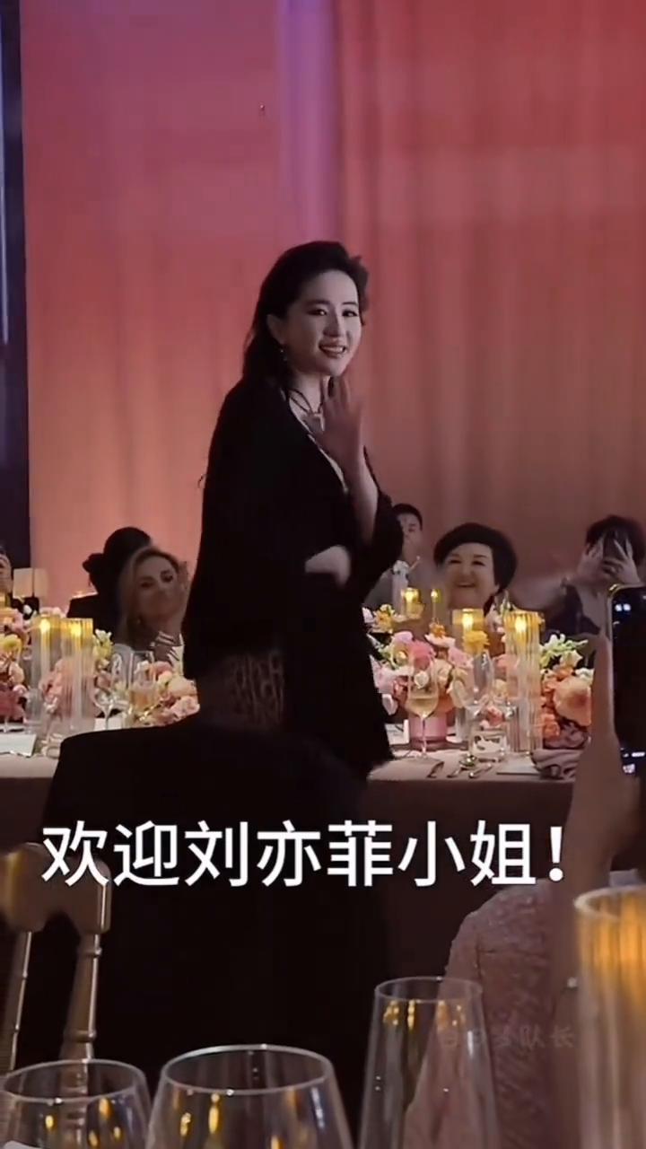 欢迎刘亦菲小姐！白日梦队长。