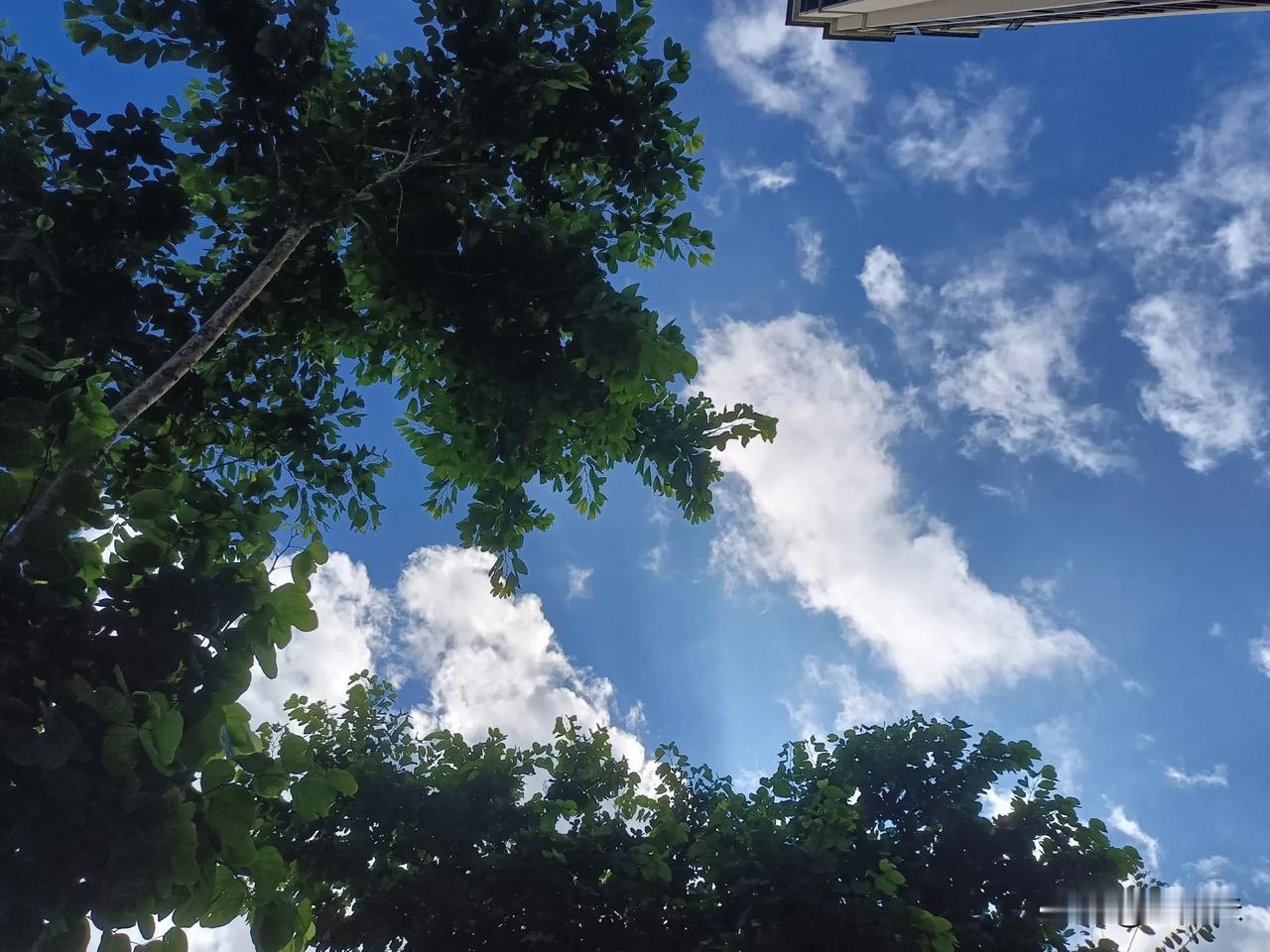 #随手拍张照#