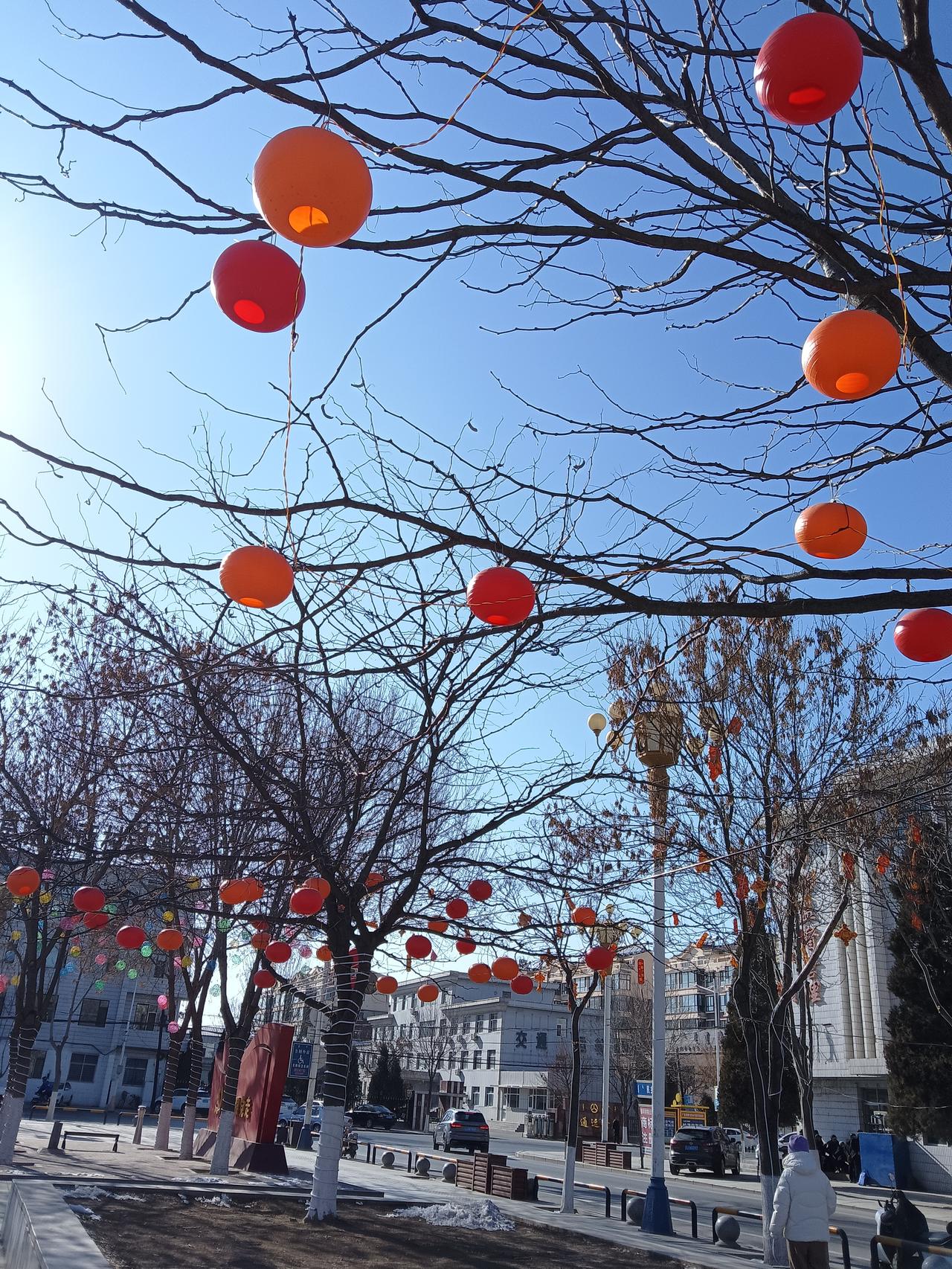 挂满红灯笼的街道，暖意融融，阳光洒在枝头，美不胜收！🌞🏮🍂