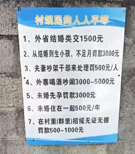 大清已经亡了这么多年了，云南临沧的这个村庄是刚刚才通网吗？

现在这个时代，和谁