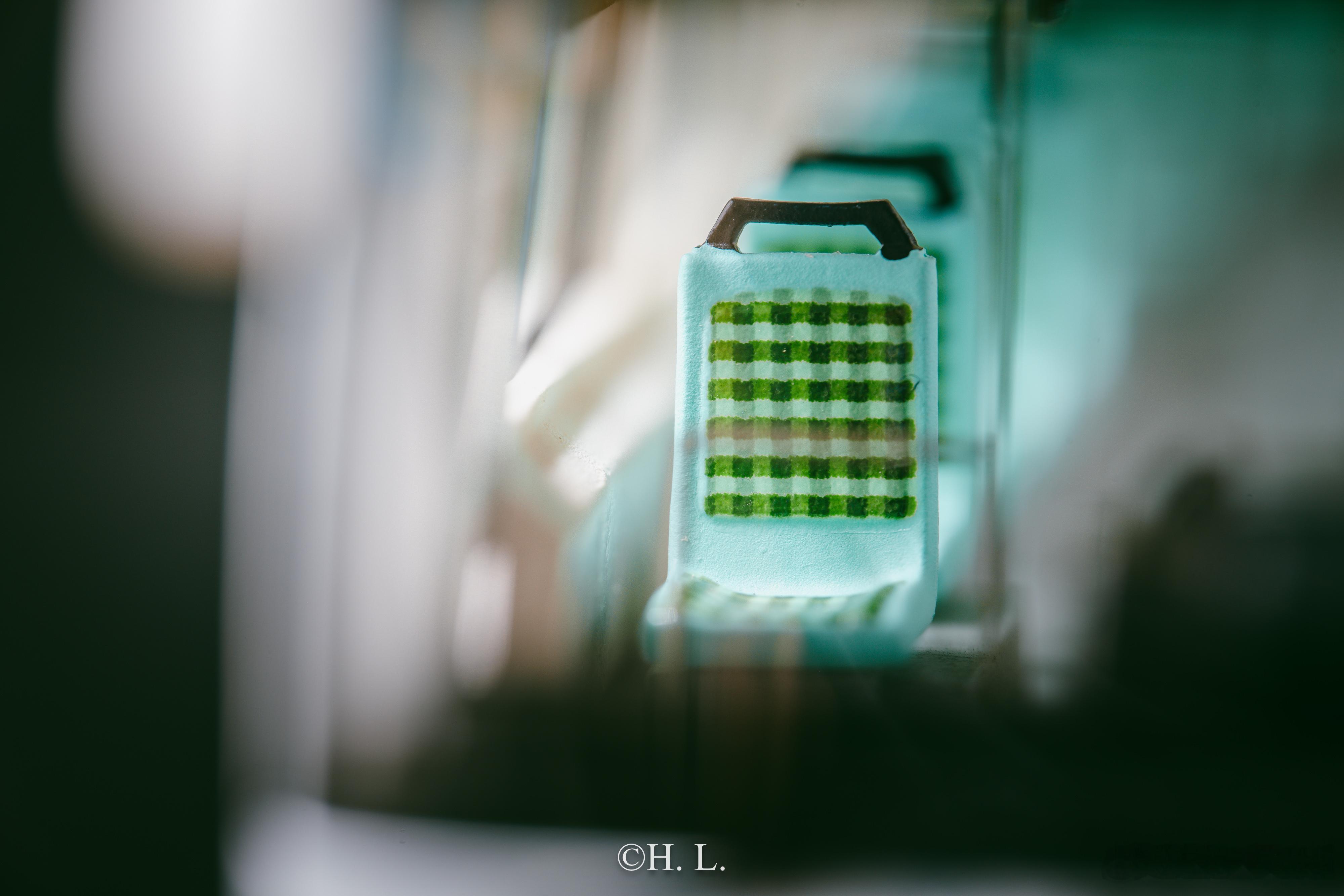 申沃SWB5105GP-3 （SG） 无轨电车模型，19路巴士电车。1:76树脂