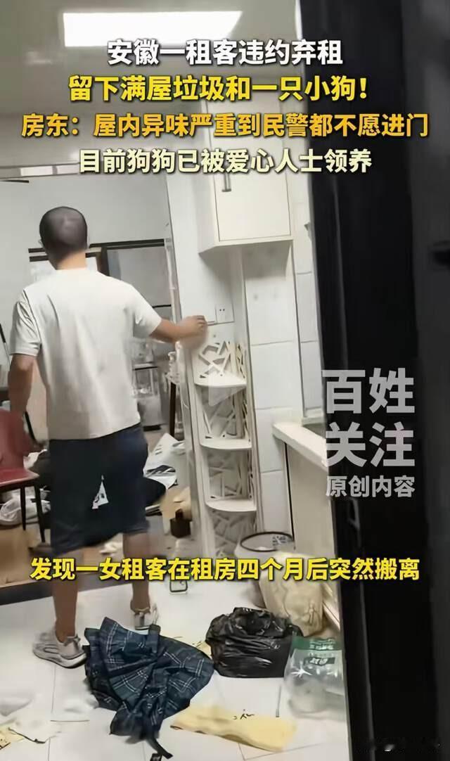 安徽芜湖，女子租房四个月后忽然搬离，房东开门后，发现她什么都没有带走，包括一条萨