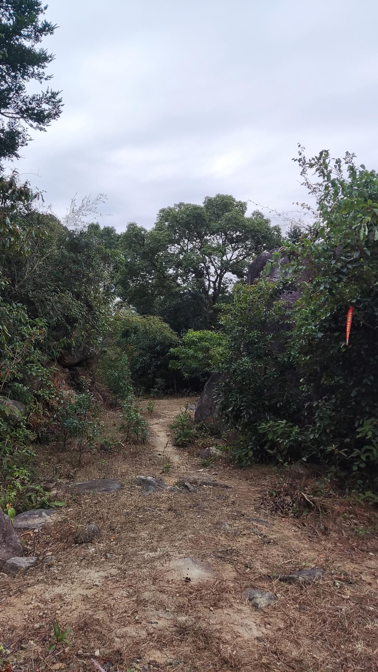 贵金属暴跌早有预兆，你知道吗？

近期，贵金属市场经历了一轮令人震惊的暴跌，黄金