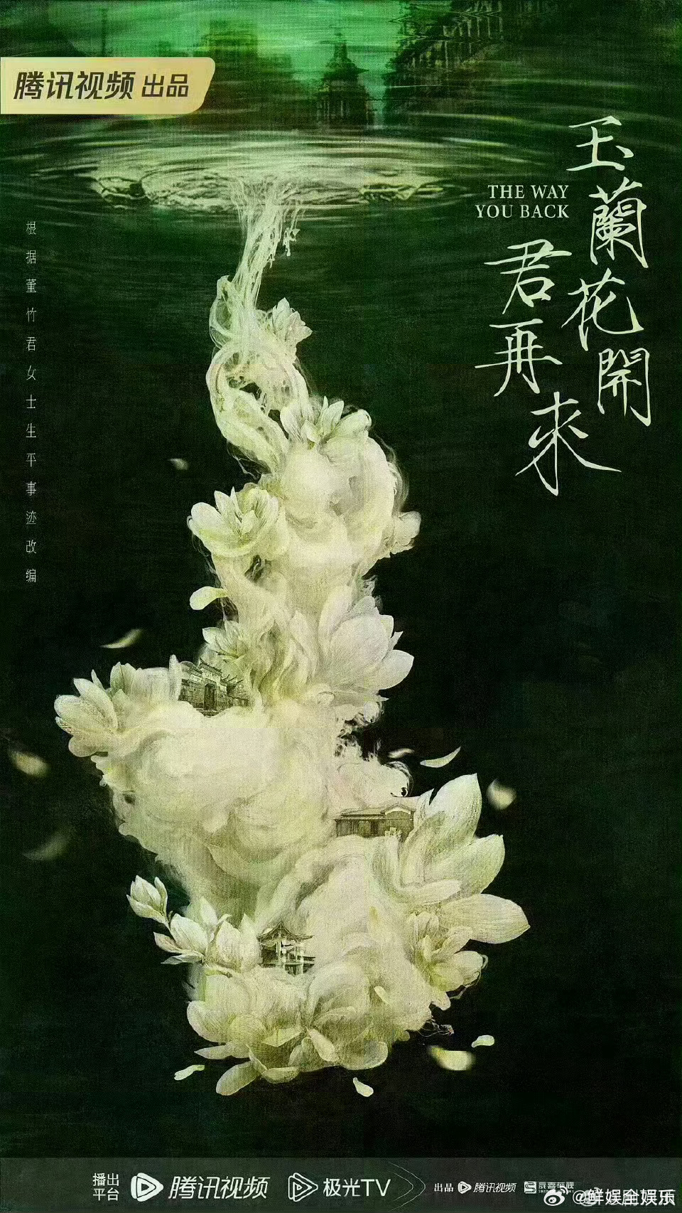 杨紫黄轩玉兰花来君再来杨紫黄轩或将合作《玉兰花开君再来》杨紫黄轩或将合作 ​​​