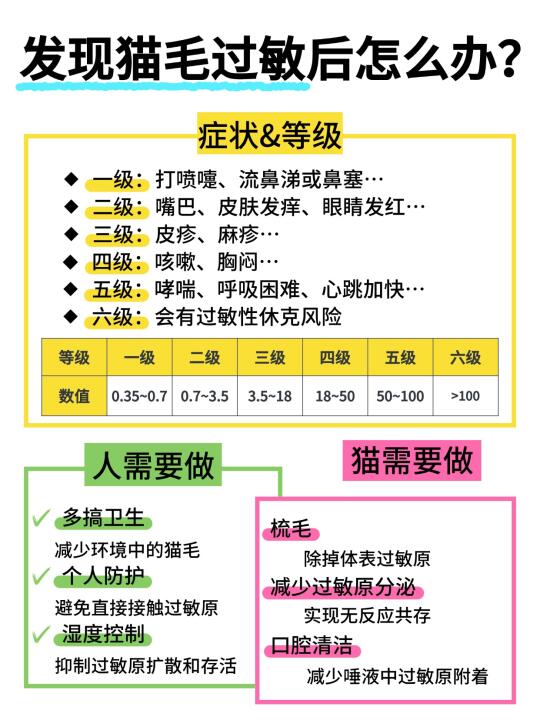 猫毛过敏是什么？怎么做可以继续养猫？