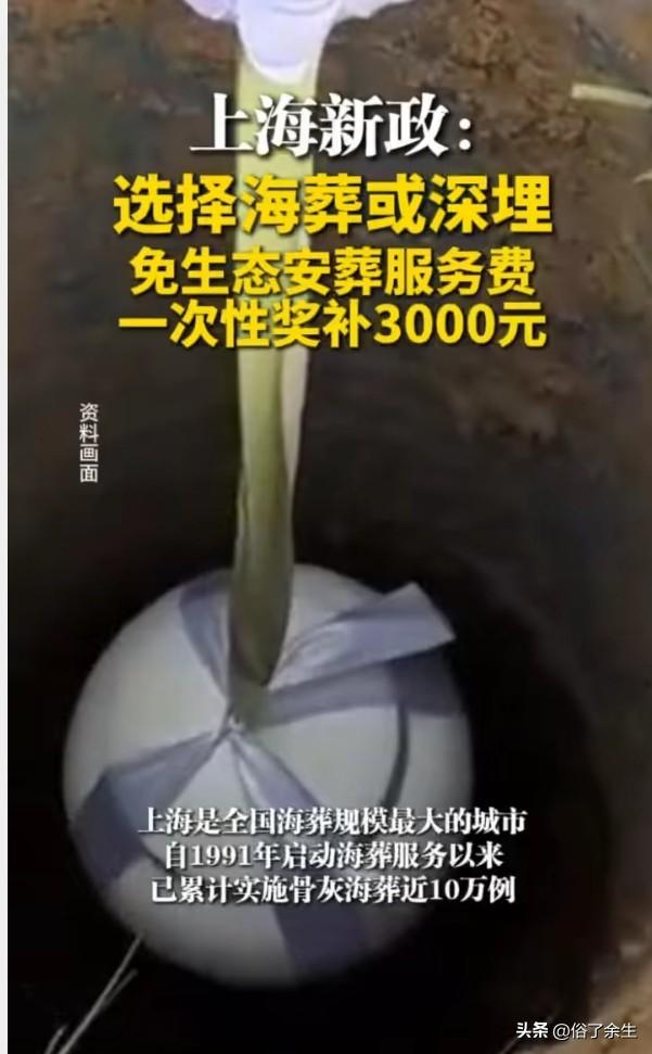 3000元生态葬奖补 殡葬改革的"上海样本"

上海推出生态葬奖补政策，选择海葬