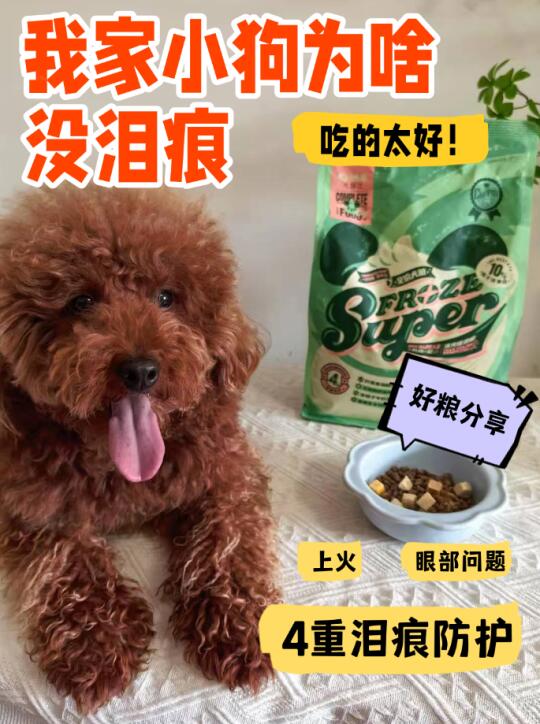 我去，这小狗吃的真好啊！（亲测不上火）