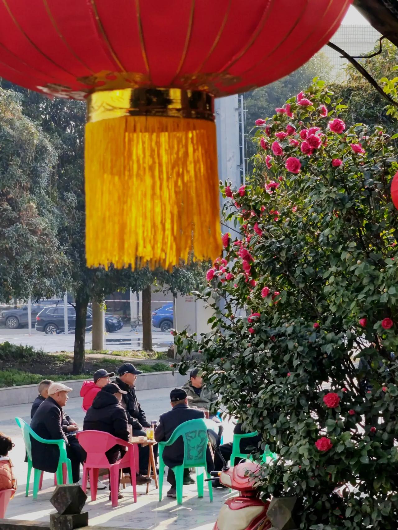 街拍中国享受晨风送双，沐浴春日阳光