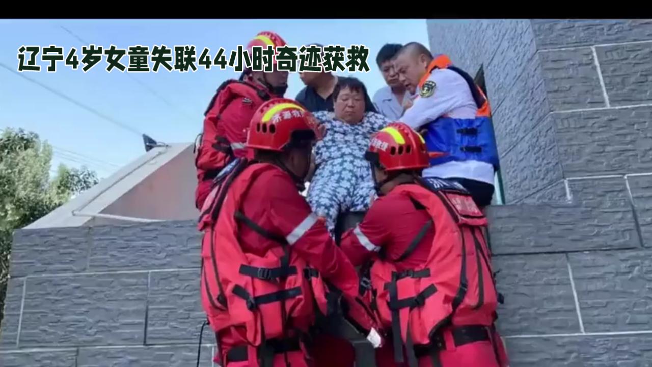 全网沸腾！辽宁4岁女童失联44小时奇迹获救，无人机立功但争议炸锅！
 
“找到了