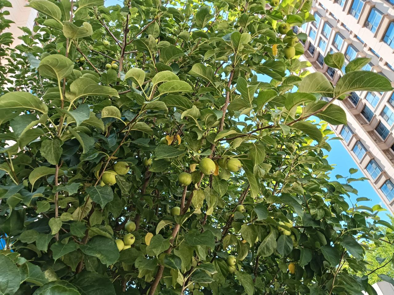 感冒了才懂得没感冒的幸福，手指冻伤了才懂得没被冻伤的快乐，便秘了才懂得没便秘的清
