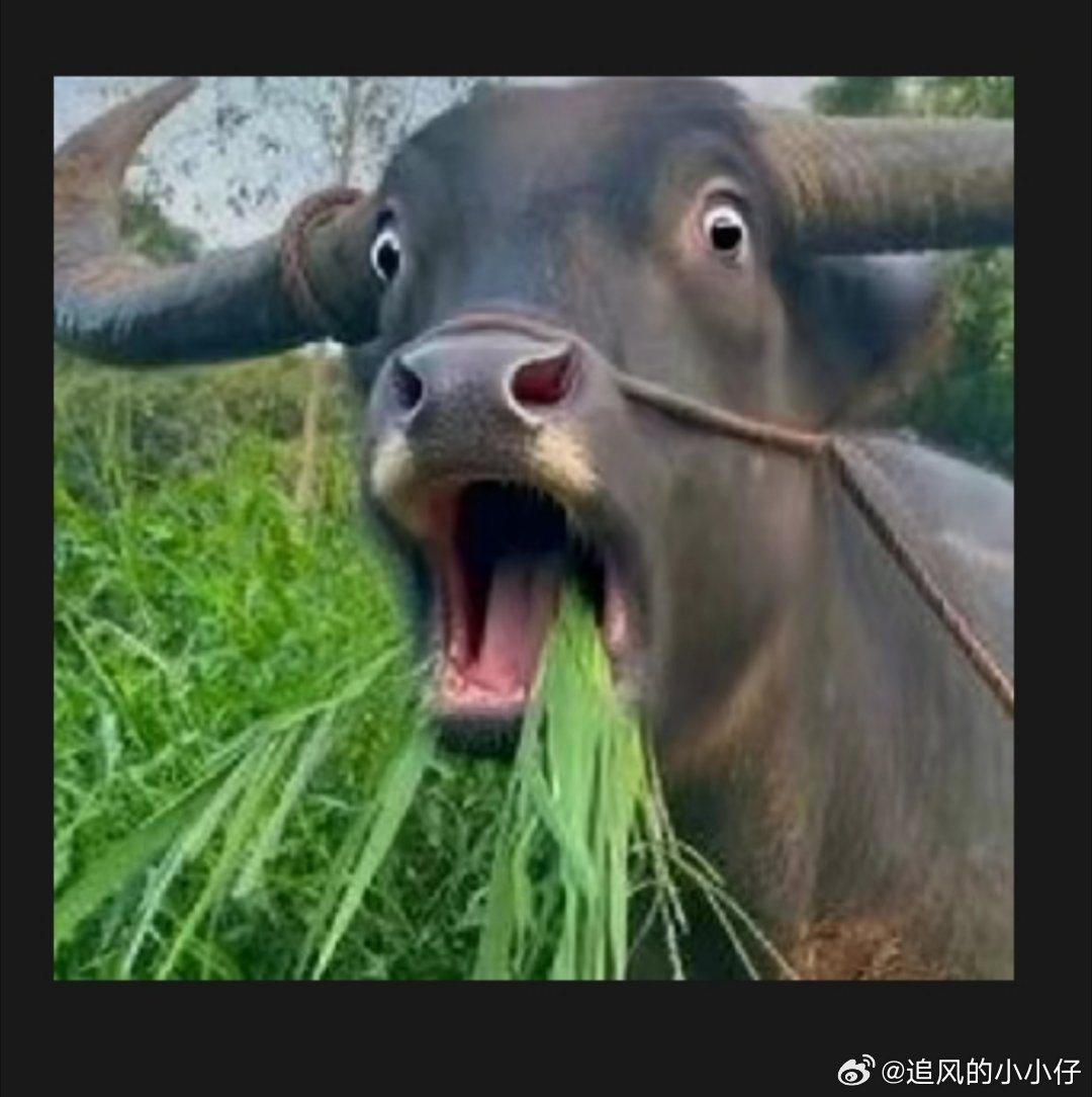 现在到处大跌 黄金5个交易日连续暴跌，已跌了超20%大饼回调也跌了10% 日韩股