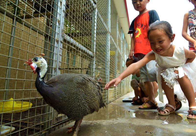 山东枣庄动物园这波操作真是引发热议。他们推出重阳节9.9元老年人专享票，规定19