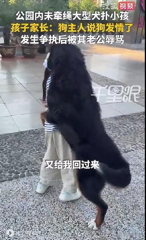 云南玉溪一个公园里出了件让人气愤的事。
大狗发情扑吓8岁的小女孩，法律早就说了狗